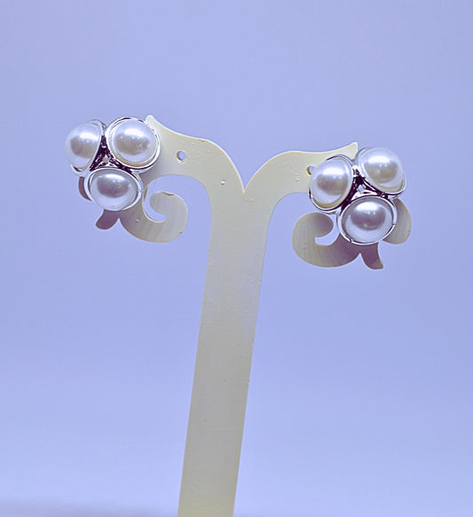 Silver Earrings