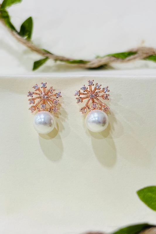 Rose gold Earrings
